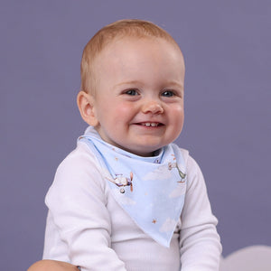 Taking Flight Organic Dribble Bib - Snuggle Hunny