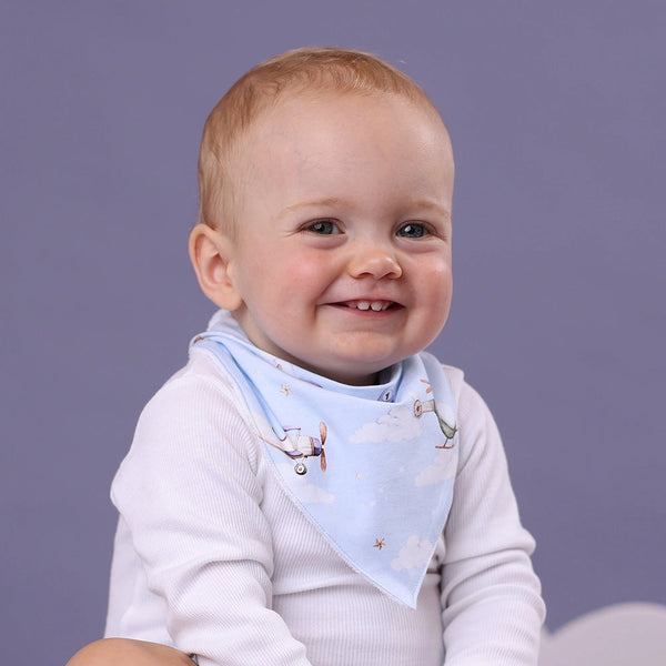 Taking Flight Organic Dribble Bib - Snuggle Hunny