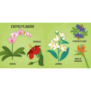3D Puzzle and Book Set - Learn Shapes Flowers, 40 pcs - Sassi