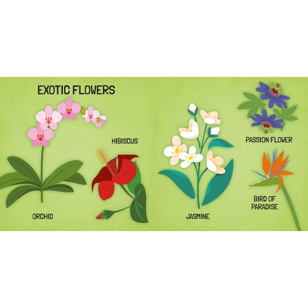 3D Puzzle and Book Set - Learn Shapes Flowers, 40 pcs - Sassi