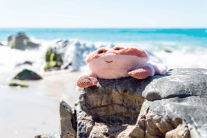 Kenzo Crab Soft Toy 38cm - OB Designs