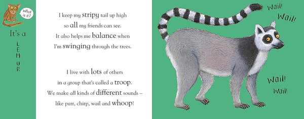 Flip Flap Zoo - Book