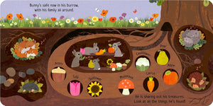 Can You Catch the Bunny? Board book