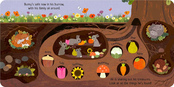 Can You Catch the Bunny? Board book