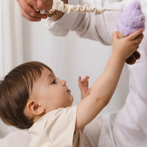 Stroller Toys - Ice Cream & Cupcake - Living Textiles
