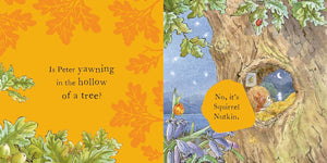 Peter Rabbit: Peter's Bedtime: A Lift-the-Flap Book - Kids Book