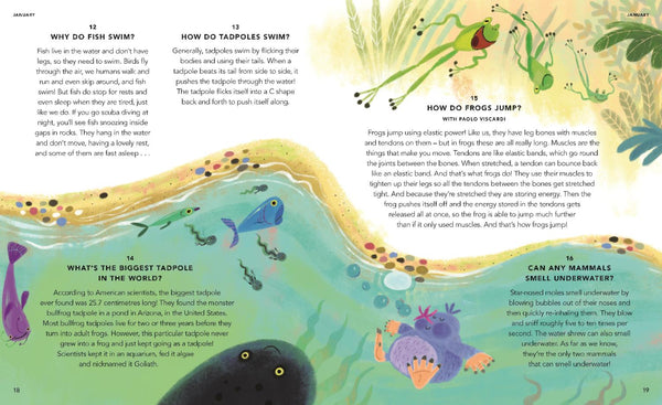 Everything Under the Sun: All Around the World - Kids Book
