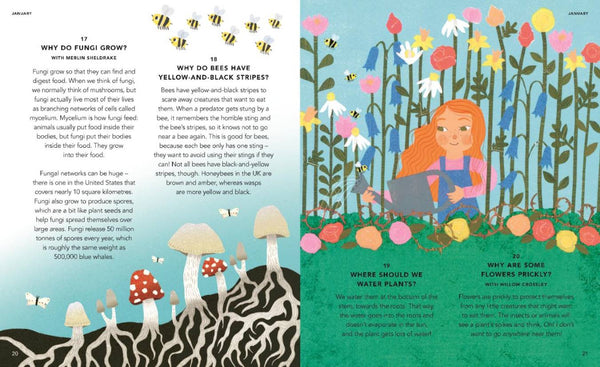 Everything Under the Sun: All Around the World - Kids Book