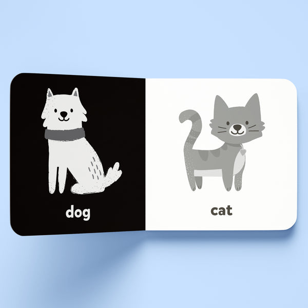 First Words A High-Contrast Board Book - Kids Book