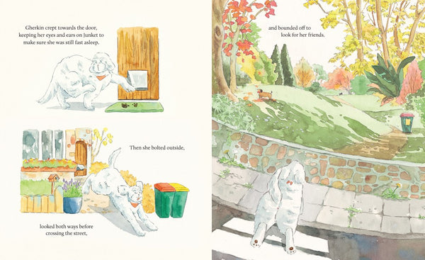 A Present for Junket - Kids Book