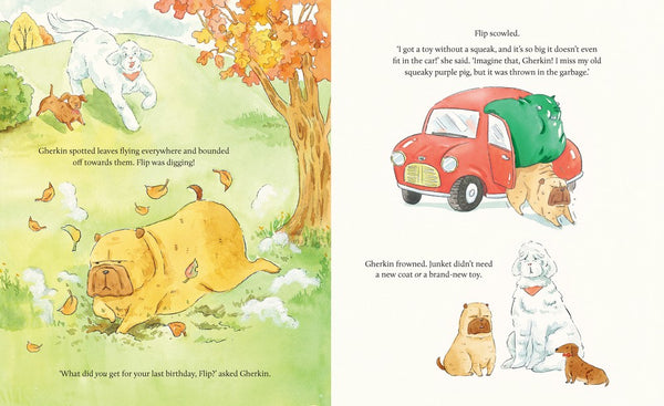 A Present for Junket - Kids Book