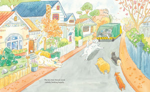 A Present for Junket - Kids Book