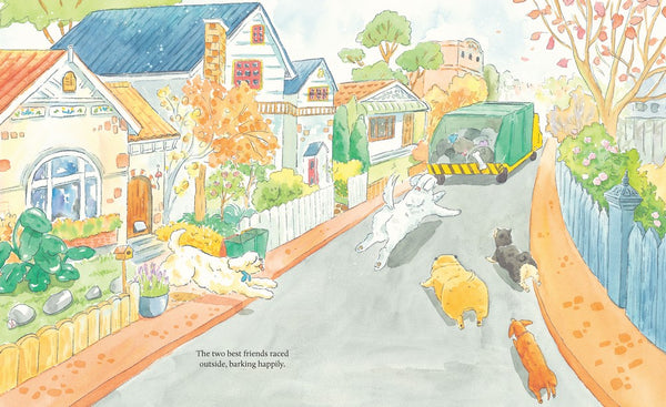 A Present for Junket - Kids Book