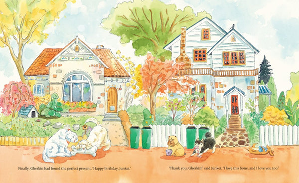 A Present for Junket - Kids Book