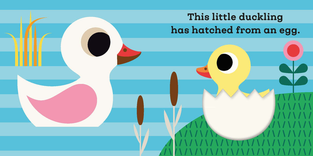 This Little Duckling - Touch & Feel Board Book