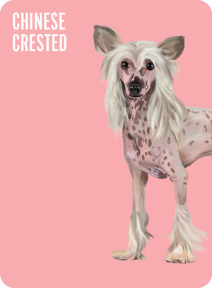 Heads & Tails: Dog Memory Cards - Hardie Grant