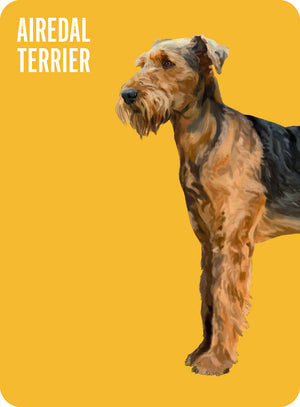 Heads & Tails: Dog Memory Cards - Hardie Grant