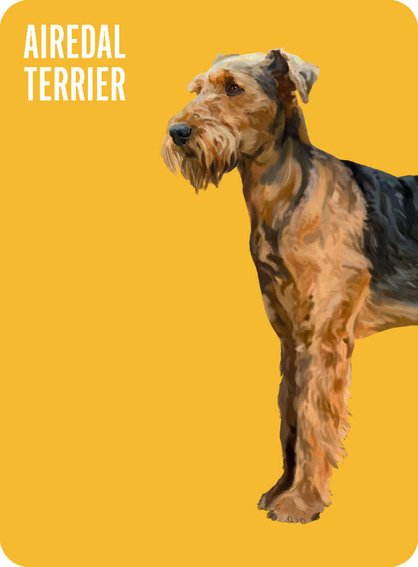 Heads & Tails: Dog Memory Cards - Hardie Grant