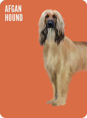 Heads & Tails: Dog Memory Cards - Hardie Grant