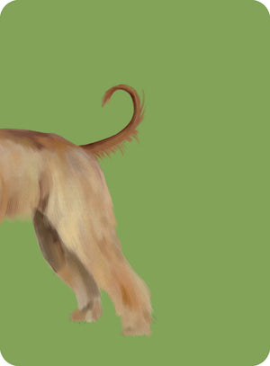 Heads & Tails: Dog Memory Cards - Hardie Grant
