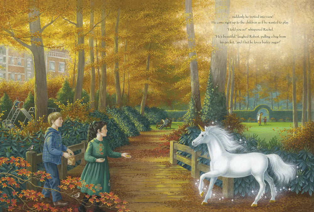 The Magic Unicorns - Hardback - Shirley Barber