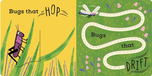 The Bug Book - Kids Book