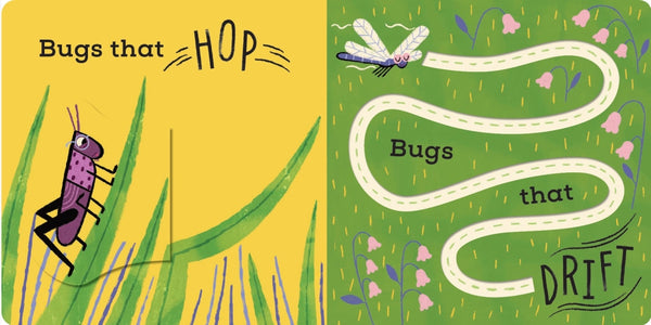 The Bug Book - Kids Book