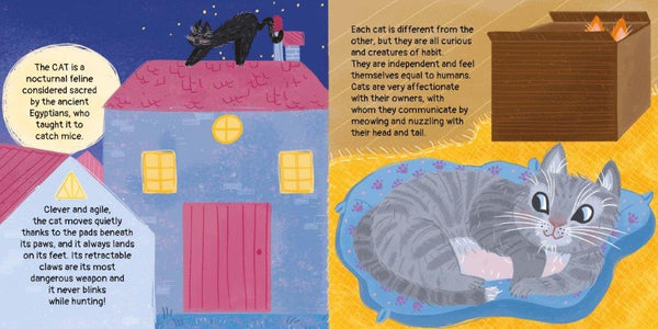 House Pets Ludo Game & Book Set - Sassi