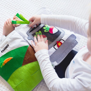 Fabric Activity Book - When I Grow Up - Curious Columbus