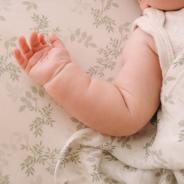 Cypress Organic Fitted Cot Sheet - Fox and Fallow