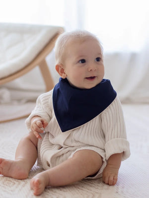 Bandana Bibs - Wild Dinosaurs & Storm - 2 pack - Bambella Designs