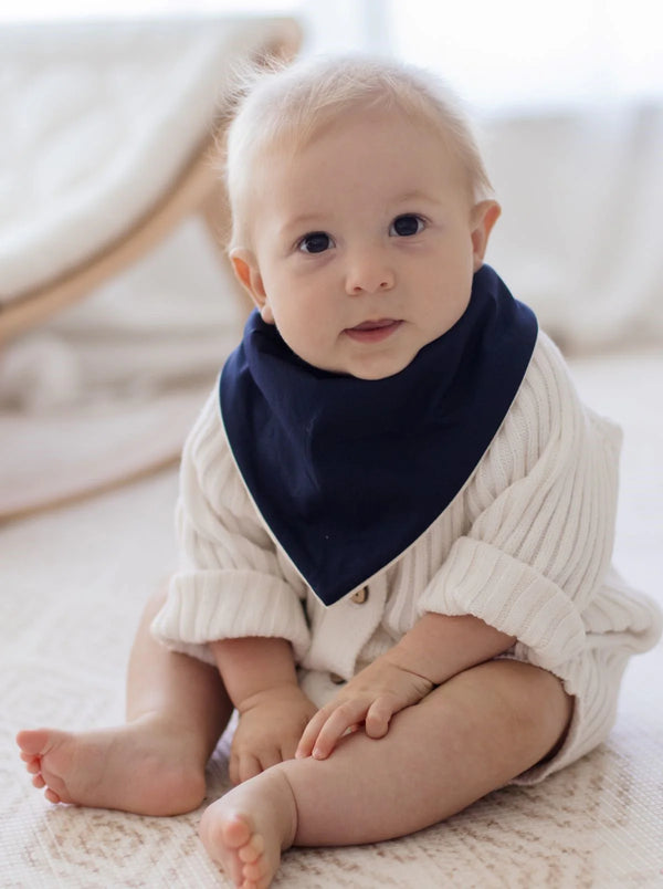 Bandana Bibs - Wild Dinosaurs & Storm - 2 pack - Bambella Designs