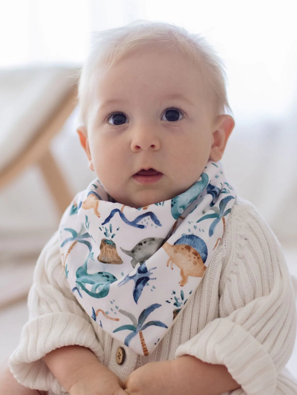 Bandana Bibs - Wild Dinosaurs & Storm - 2 pack - Bambella Designs