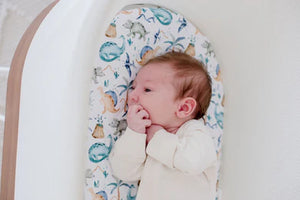 Small Oval/Moses/Snoo Fitted Waterproof Sheet | Wild Dinosaurs - Bambella Designs