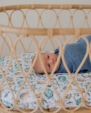 Waterproof Bassinet Sheet - Wild Dinosaurs - Bambella Designs