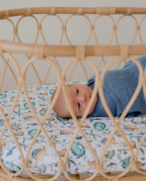 Waterproof Bassinet Sheet - Wild Dinosaurs - Bambella Designs