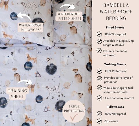 Toilet Training Sheet | Things That Go - Bambella Designs DISCOUNTED
