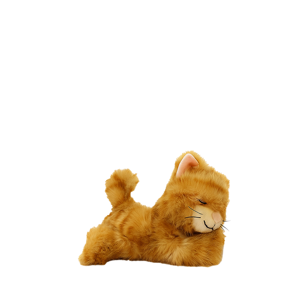 Binky Kitten Koda - Ginger - Dinkum Dolls