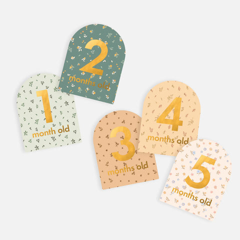 Baby Milestone Cards Broderie - Fox & Fallow