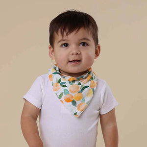 Citrus Squeeze Organic Dribble Bib - Snuggle Hunny