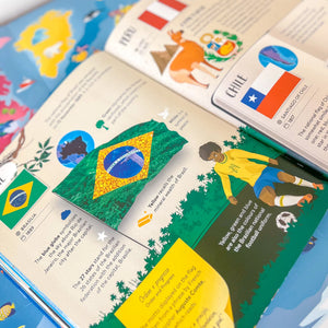 What How and Why Flags Book and Poster - Sassi