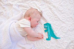 T-rex Scrunchie Toy - Tikiri