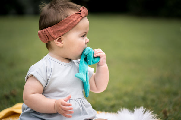 T-rex Scrunchie Toy - Tikiri