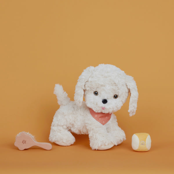 Dinkum Dog Starter Set - Dinkum Dolls