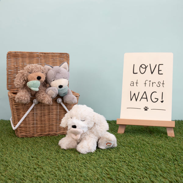 Dinkum Puppy Belle - Cream - Olli Ella