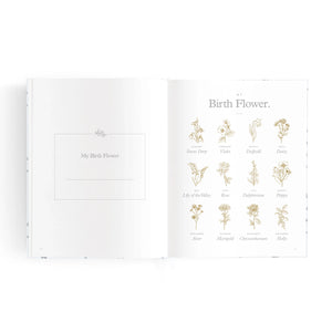 Mini Baby Book Bluebell - Fox & Fallow