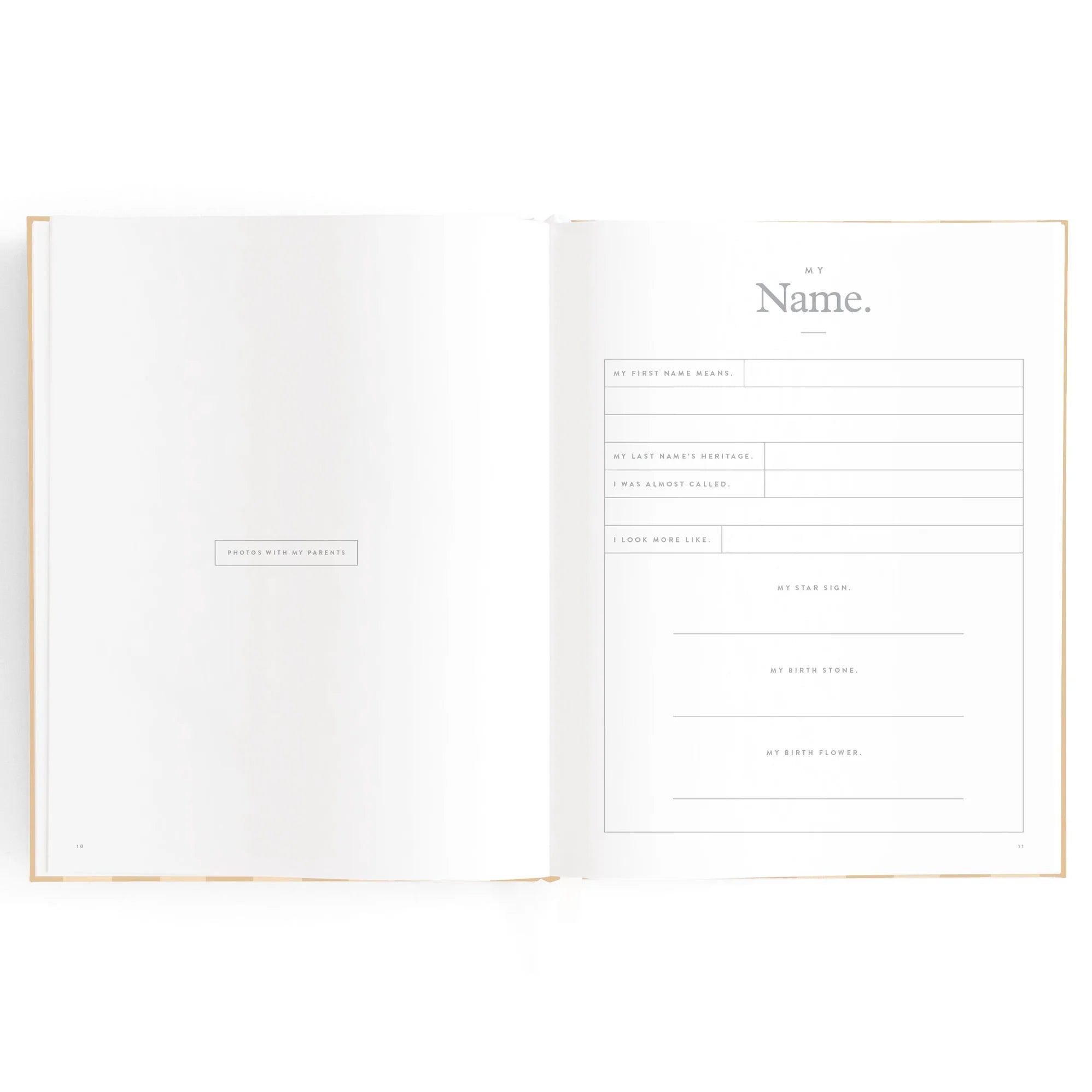 Baby Journal - Coffee Stripe - Fox & Fallow