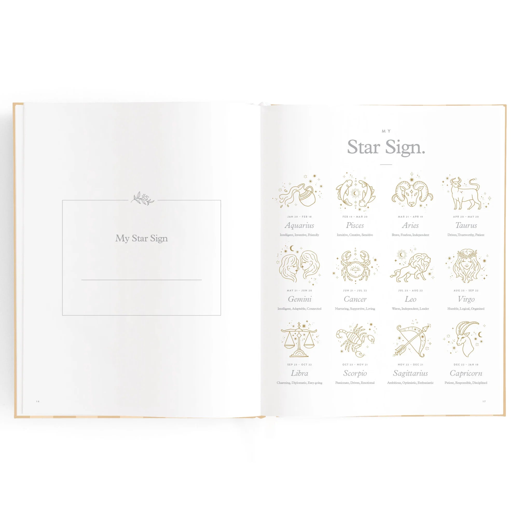 Baby Journal - Coffee Stripe - Fox & Fallow