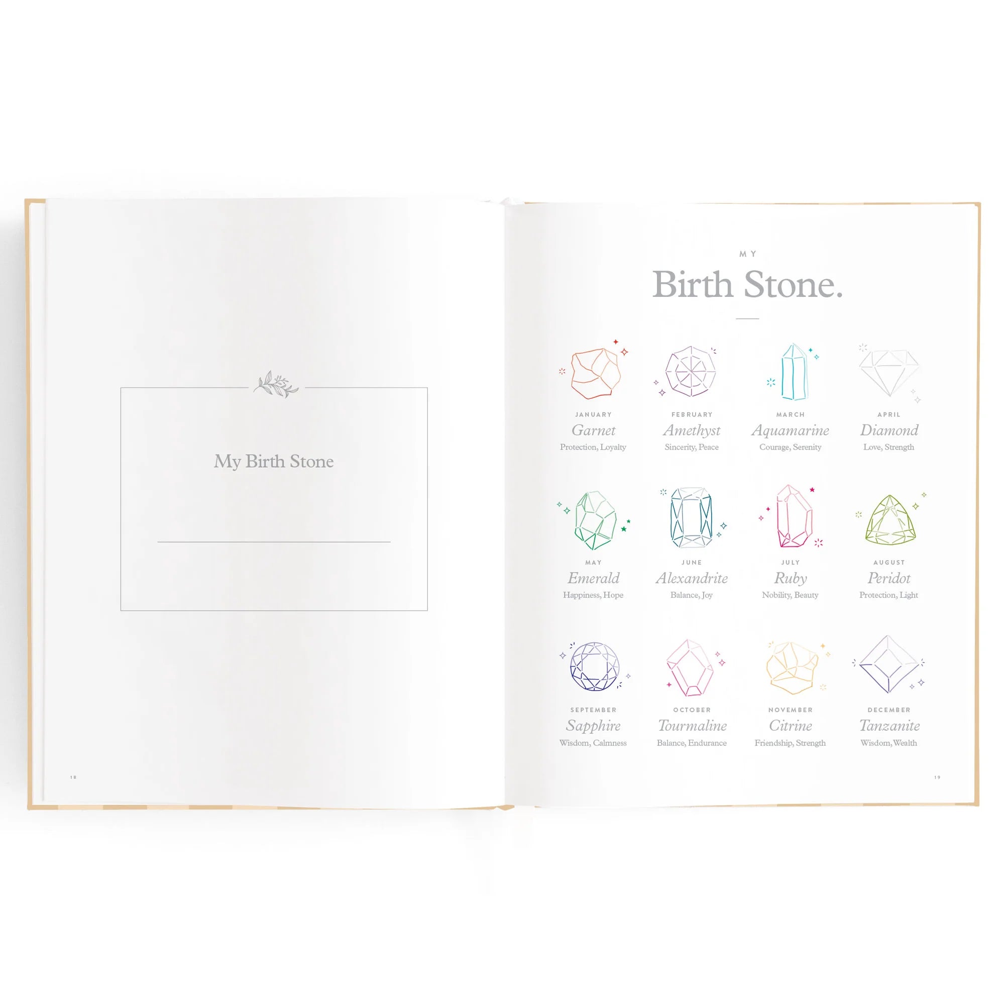 Baby Journal - Coffee Stripe - Fox & Fallow