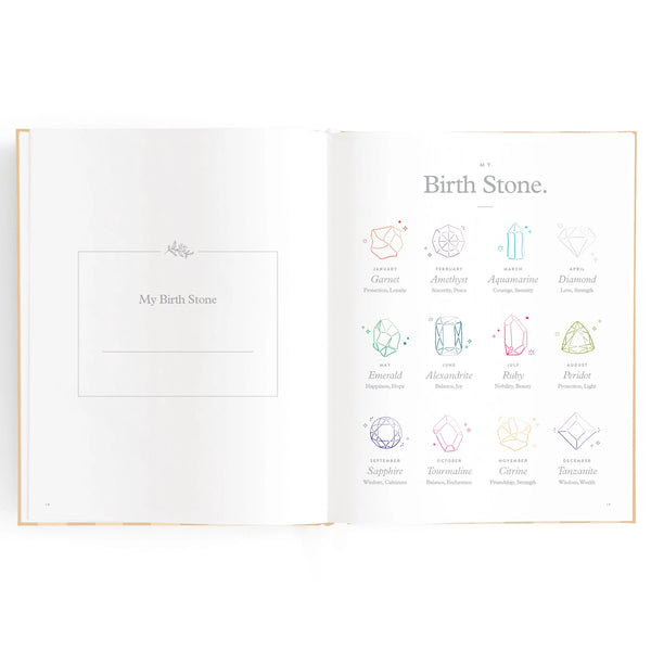 Baby Journal - Coffee Stripe - Fox & Fallow